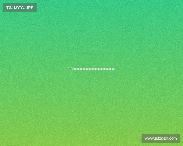 FIFA足球世界世界杯在哪查看最新比赛地点与赛程解析指南全攻略